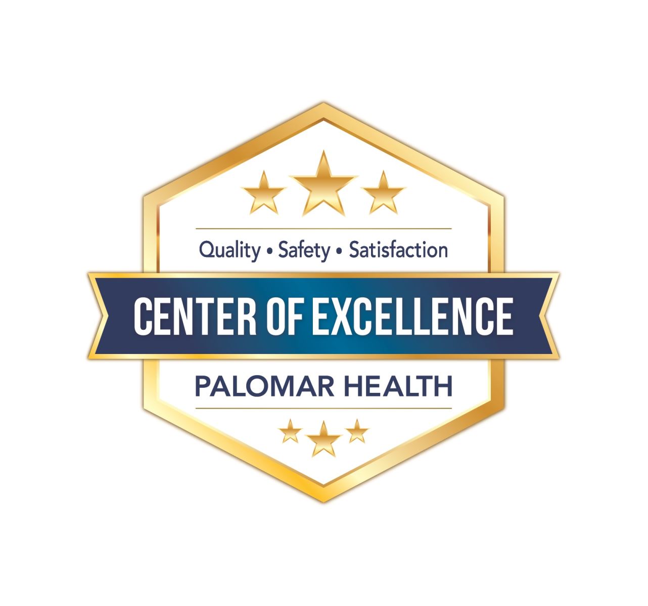 PH-Center of Excellence Seal_FINAL Center of Excellence Seal Large